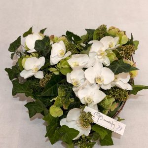 Rouwhart witte orchideeën